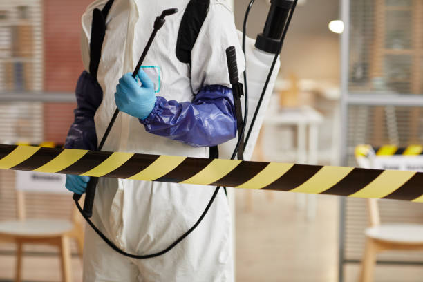 Professional Blood Cleanup technician working in Beasley, TX